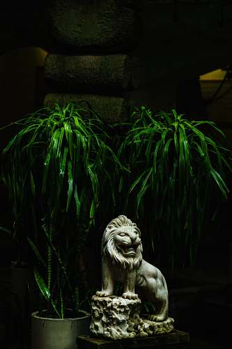 mammal lion figurine and plants lion
