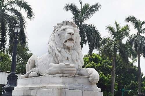 mammal lion statue lion