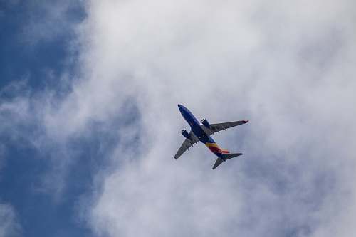 bird low angle photography of blue and white airplane flying
