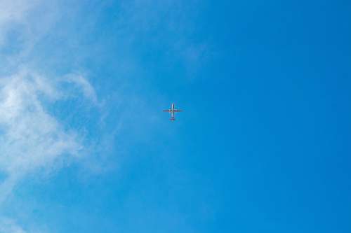 bird low-angle photography of gray airplane on air flying
