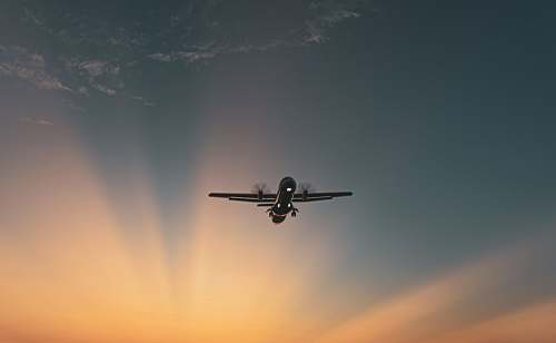 bird monoplane during golden hour flying