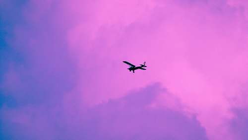 bird monoplane on flight flying