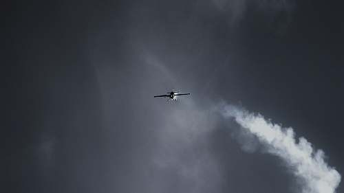 bird monoplane on mid air flying
