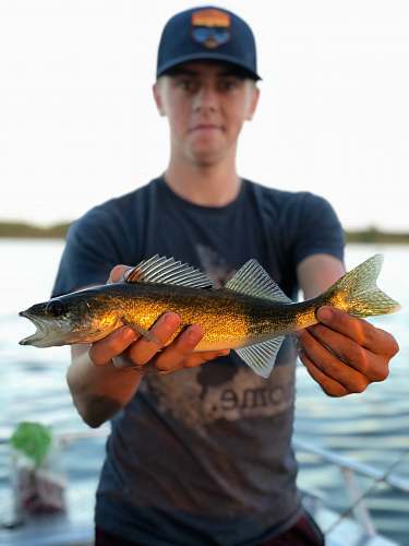 fish person holding gray fish human