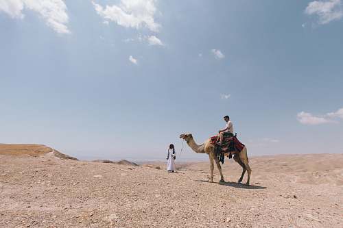 camel person ride on camel on desert desert