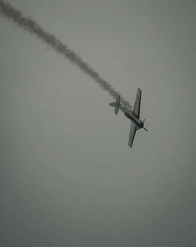 bird photography of crashing biplane during daytime flying