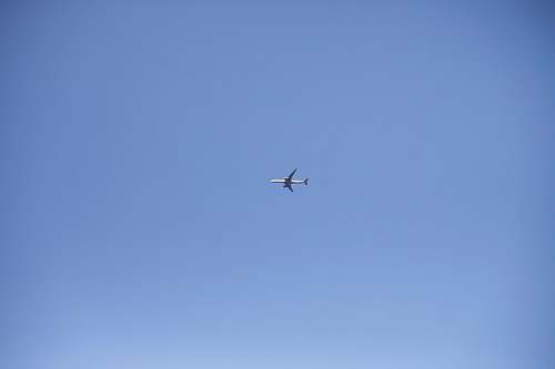 bird photography of white air liner during flight flying