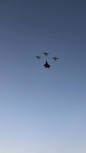 bird planes flying on sky flying