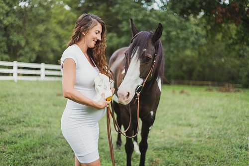 mammal pregnant woman standing beside horse horse