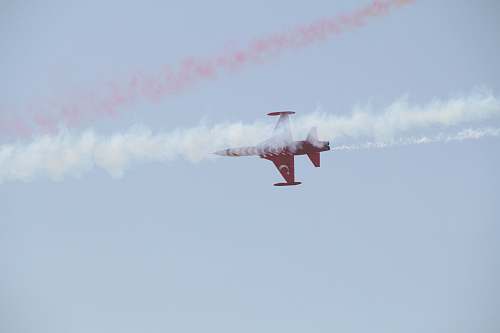 flying red airplane under blue sky during daytime bird
