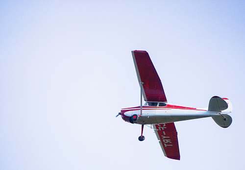 bird red and white monoplane flying