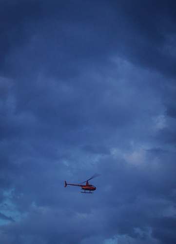 bird red helicopter on flight flying