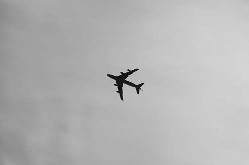 black-and-white selective focus photography of airplane on air during daytime flying