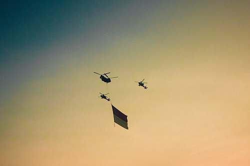 bird three black helicopters at midair flying