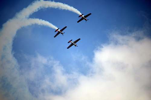 bird three black planes flying