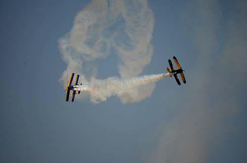 bird two planes in fligh flying