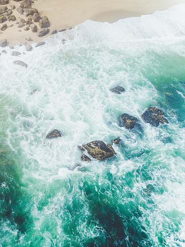 reptile waves crushing at the shore during daytime turtle