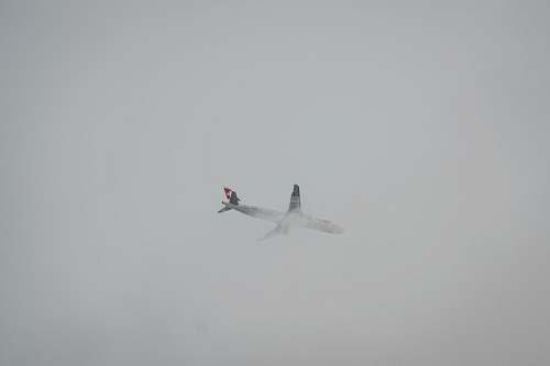 grey white air liner black-and-white