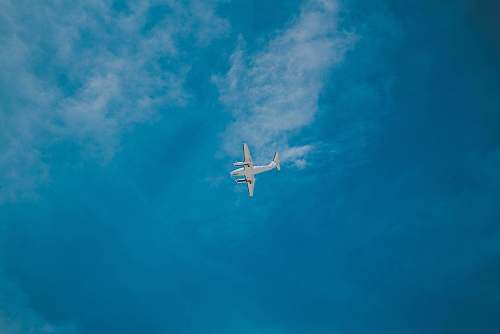 bird white airplane flying under cloudy sky flying