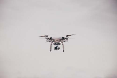 bird white DJI Phantom drone at mid air flying