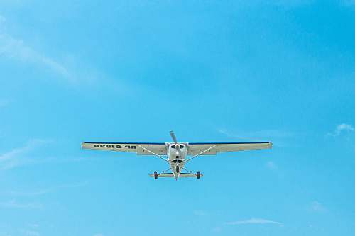 bird white monoplane on flight flying