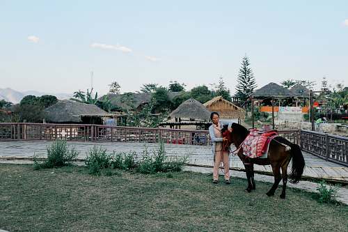 horse woman holding black horse beside fence person
