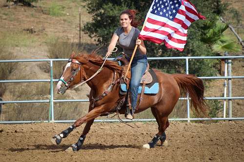 mammal woman holding US flag riding brown horse during daytime horse