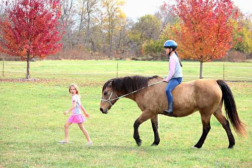 mammal woman riding on brown horse near girl walking on grass during daytime horse