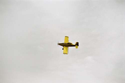 bird yellow bi-plane flying under white clouds flying