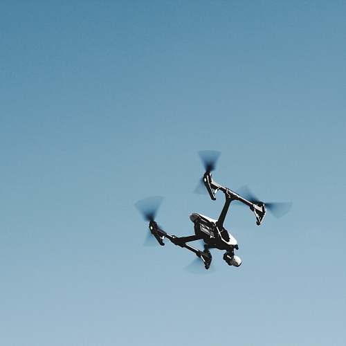 animal black and gray quadcopter drone in mid air flying