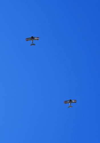 animal two white jet fighters flying