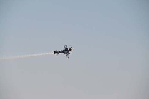 bird gray helicopter animal