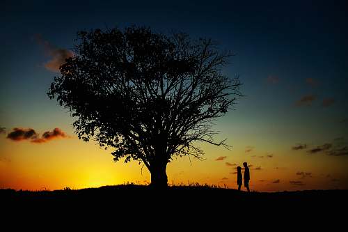  two people standing near tree 