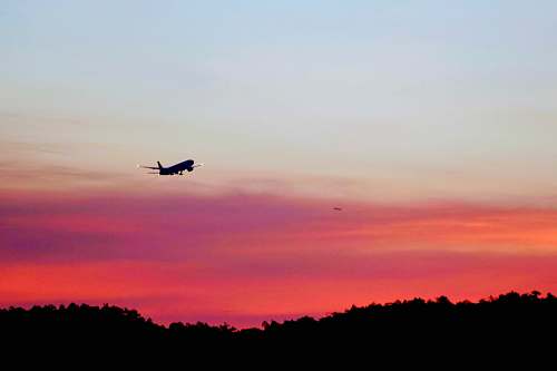 bird airliner in flight flying