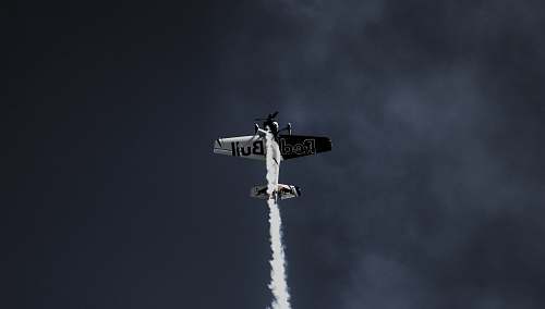 bird airplane in mid air flying