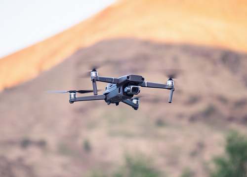 bird black and gray quadcopter drone flying