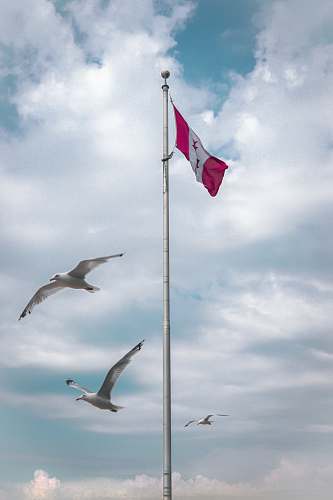 symbol flag of Peru waving on pole flowerpot island