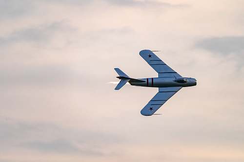 bird grey plane during daytime flying