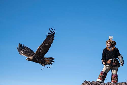 bird man standing near flying bird eagle