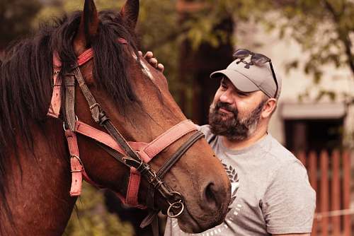 mammal man with a brown horse horse