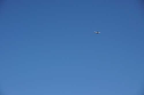 bird plane flying on sky blue