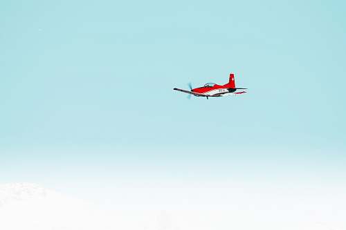bird red airplane flying