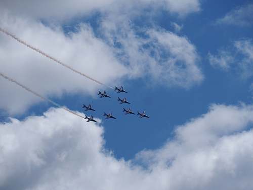 bird seven airplanes during daytime flying