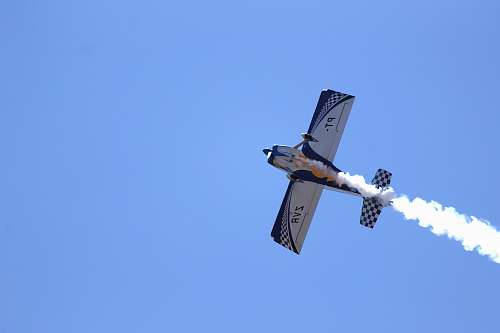 bird white and blue plane on focus photography flying