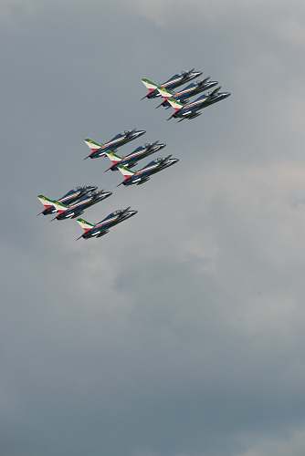 bird white plane lot flying