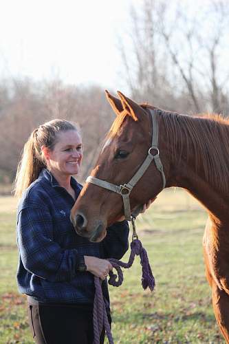 horse woman holding horse mammal