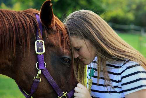 mammal woman putting head on horse's head horse
