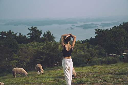 mammal woman standing near sheep in green field surrounded with tall and green trees sheep