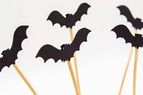 animal five black toy bats with sticks wildlife