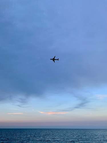animal air[lane above body of water flying